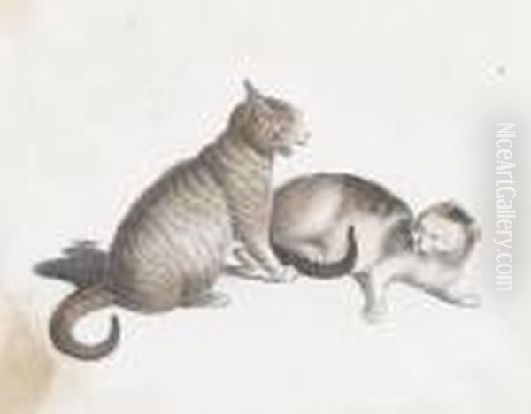 Zwei Katzen - view 1