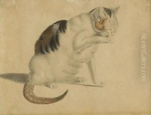 Katzenwasche. by Gottfried Mind or Mindt