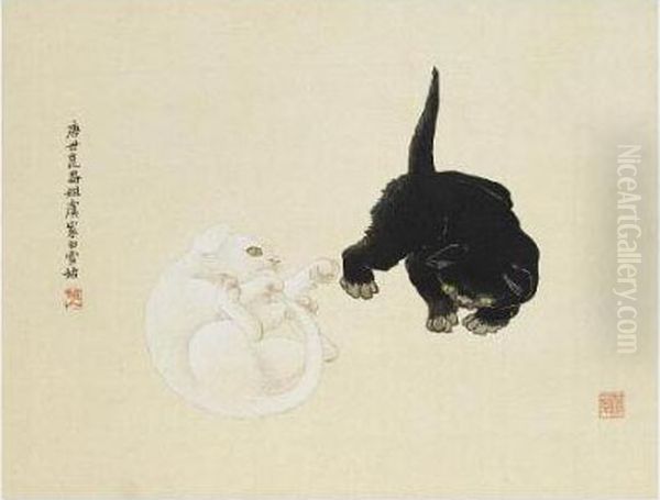 Black & White Cats - view 1