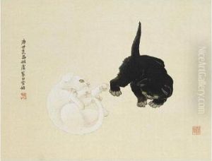 Black & White Cats Black & White Cats