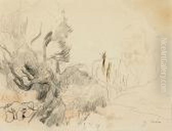 Paisaje - view 1