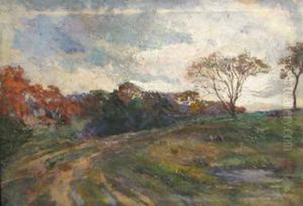Landscape - view 1