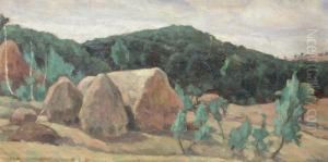 Hay Stacks by Gore Mircescu