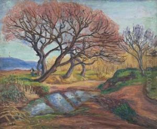 Paysage - view 1