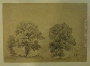Arbres