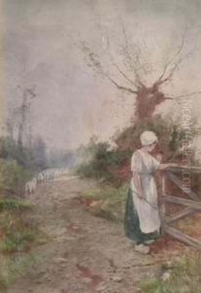 Dutch Country Landscape With Shepherdessby A Gate And Her Flock To Background - view 1