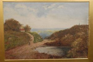 Sheep Lane, Derbyshire Moors