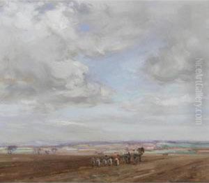 Picking Potatoes