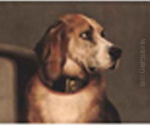Landseer's Bloodhound Oil On Canvas 21 X 25in by William Mitchell Of Maryport