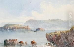 A View Of Drake's Island And Mount Edgcombe In Plymouth Sound by Philip Mitchell
