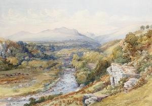 A Stream Running Off Dartmoor - view 1