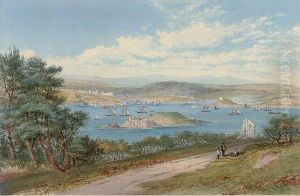 Plymouth Sound From Mt. Edgcumbe