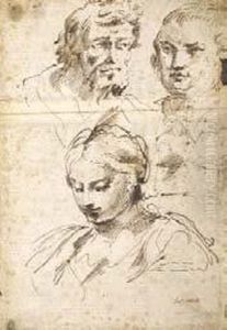 Studi Di Teste by Giuseppe Maria Mitelli