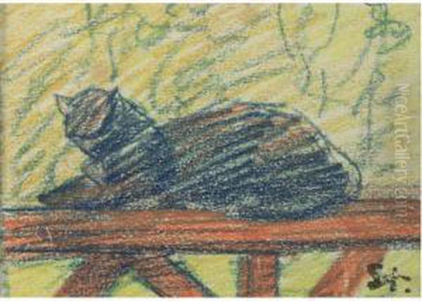 Cat - view 1