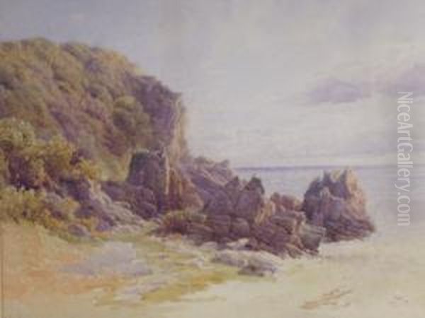 A Rocky Seashore - view 1