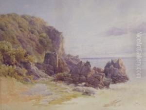 A Rocky Seashore by John Mogford