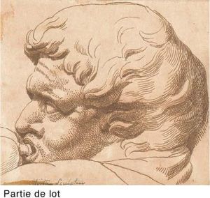 Tete D'un Homme, De Profil A Gauche