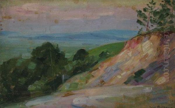 Peisaj - view 1