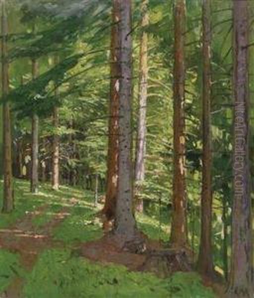Sunlit Wood - view 1