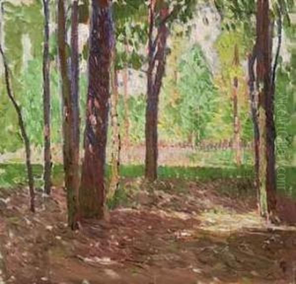 Parklandschaft Im Wiener Prater - view 1