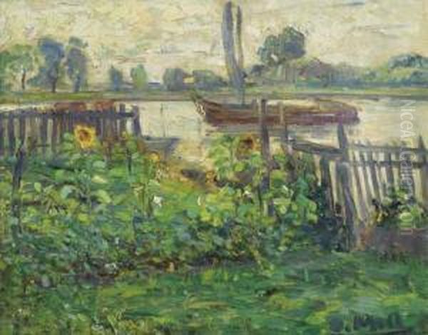 Sonnenblumen-garten Am Fluss. - view 1