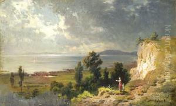 Balatoni Reszlet - view 1