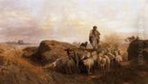Shepherd Shepherd