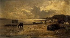 Shore Of Balaton