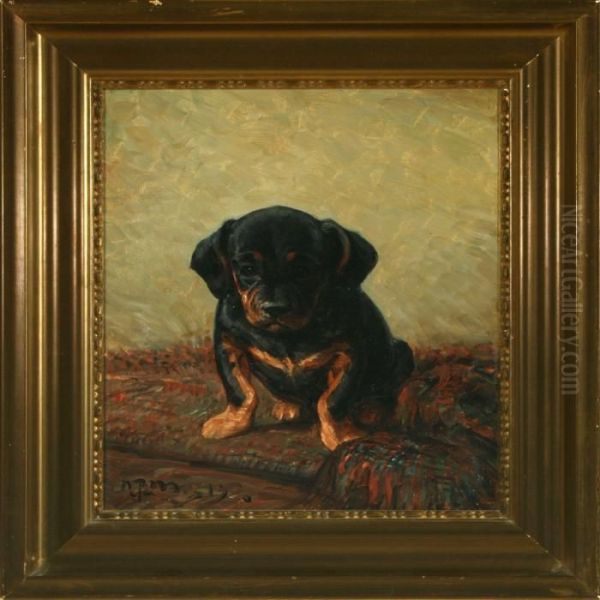 A Puppy - view 1