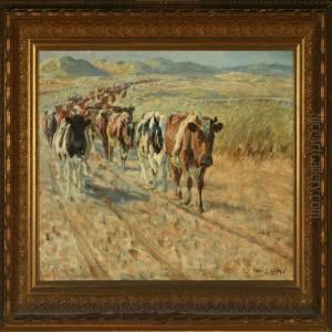 The Cattle Is Driven Home
