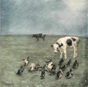 Entenfamilie Und Kalber Auf Der Wiese