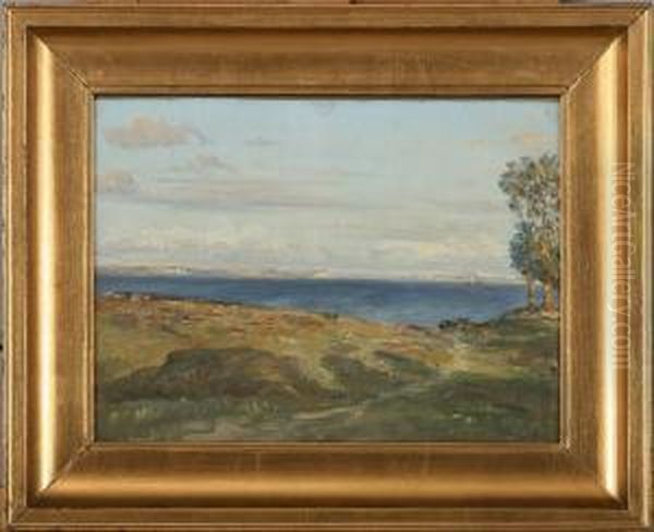 A Sunny Bay Scenery - view 1