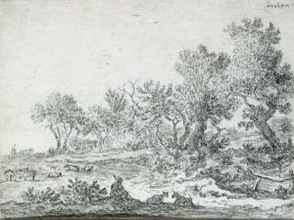 An Extensive Wooded Landscape - view 1