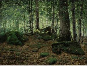 Forest At Fontainebleau by Jean Ferdinand Monchablon