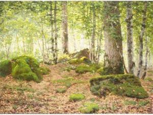 Forest At Fontainbleau Forest At Fontainbleau