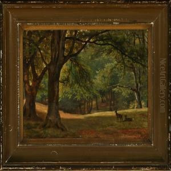 Forest Scenery With Two Deer In A Glade - view 1
