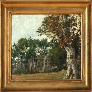 Landscape With An Old Fence