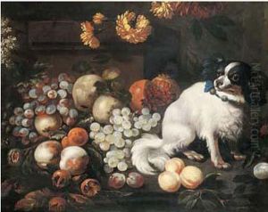 Nature Morte De Raisins Peches Et Chien Nature Morte De Raisins Peches Et Chien