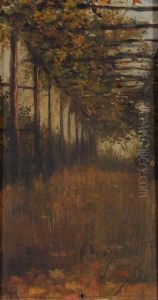 Pergolato