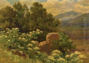 Italian Landscape