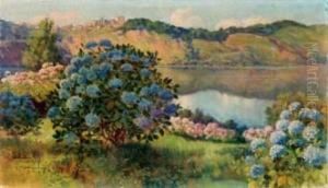 Veduta Del Lago Di Nemi