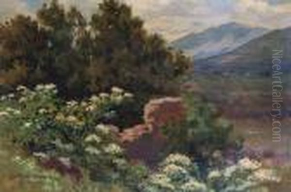 Landscape - view 1