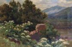 Landscape Landscape