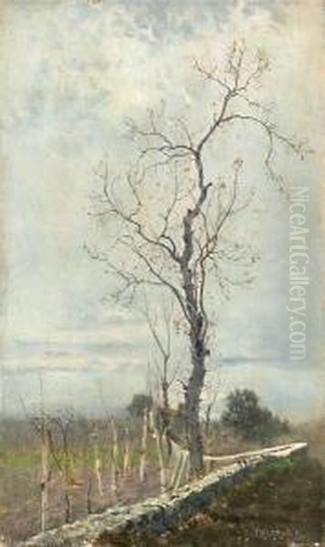 Landscape In Autumn - view 1