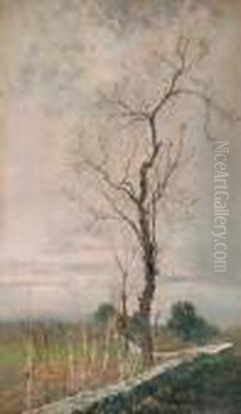 Paesaggio - view 1