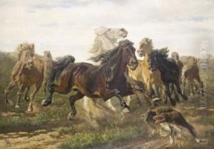 "bauernpferde". by Antonio (Antonis Matteo) Montemezzo