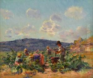 Summer Gardening