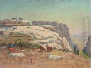 Goats On A Sunny Hill Side