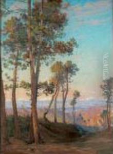 Les Pins Maritimes