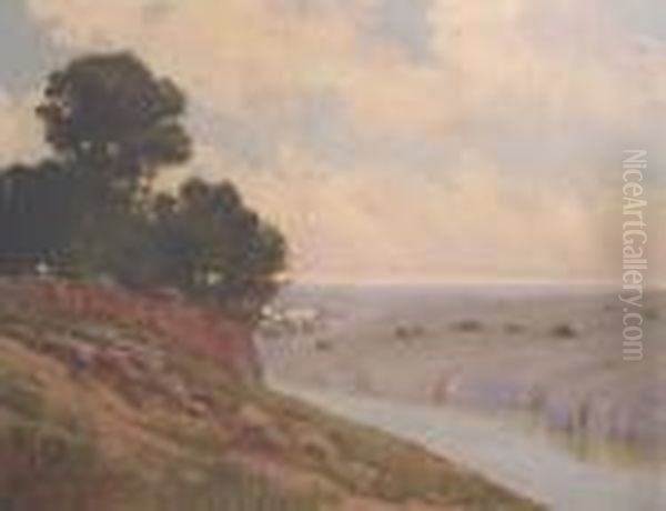 Atardecer En El Rio - view 1